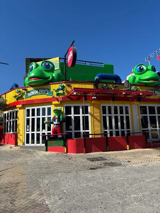 Senior Frog's Party Bar