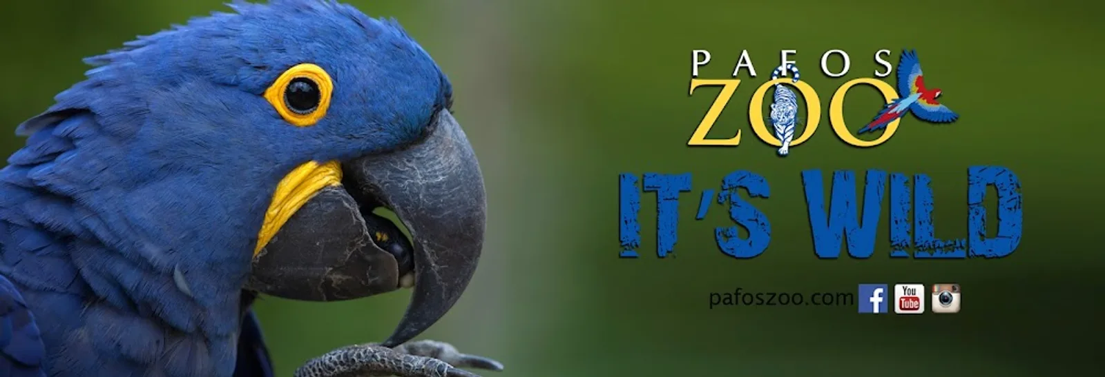 גן החיות של פאפוס