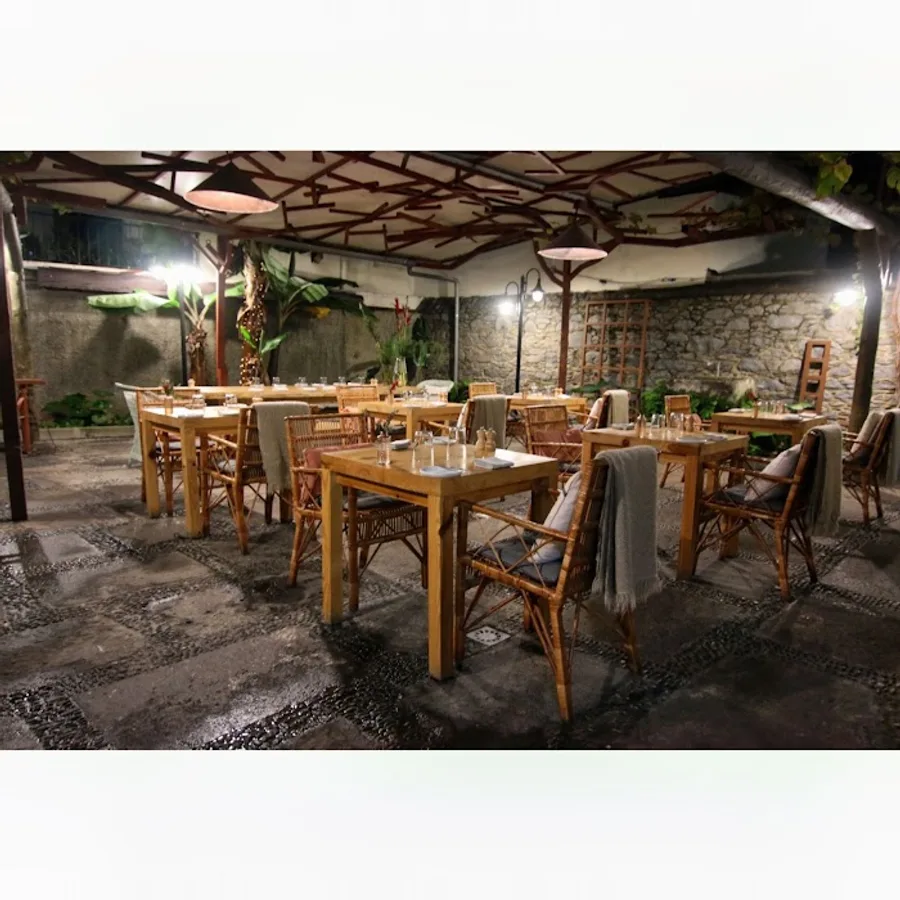 Terra Food Concept