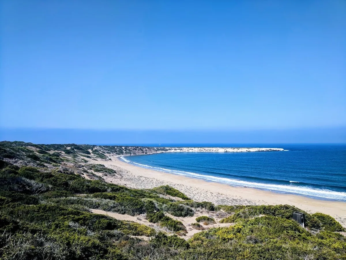 חוף לארה, חוף הצבים