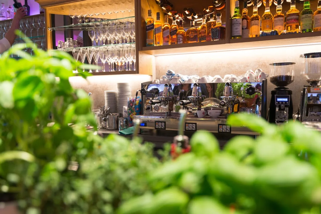 Darwin's Cafe Bar