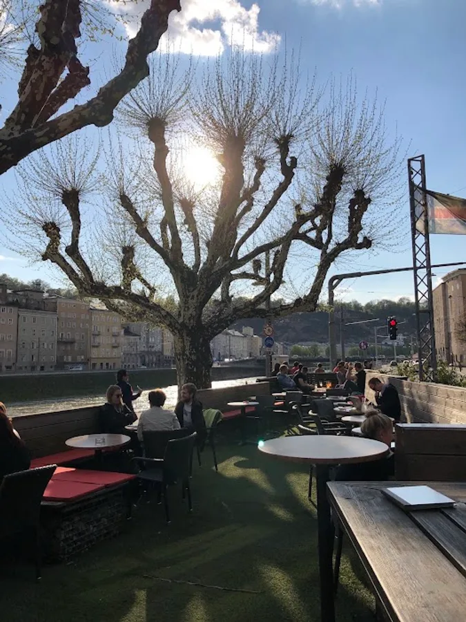 Monkeys cafe.bar